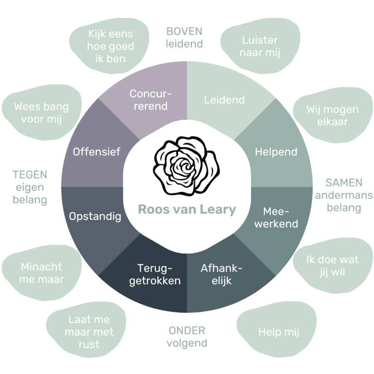 de-roos-van-leary-toepassen-learning-flow